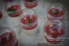 p1160660