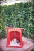 penang-travel345
