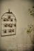penang-travel517