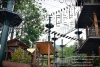 penang-travel573
