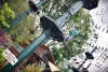 penang-travel575