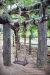 penang-travel579