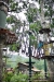 penang-travel581