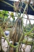 penang-travel638