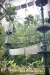 penang-travel648